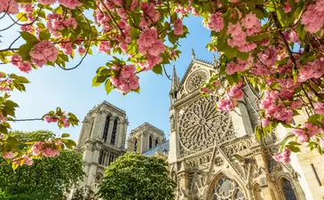 Notre-Dame opening date approaches as renovations wrap up