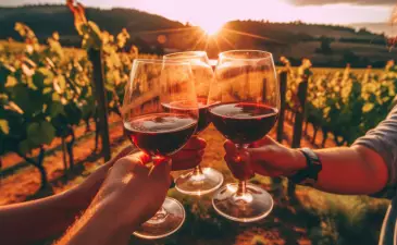 5 regioni vinicole spagnole che le vostre papille gustative non vedono l'ora di visitare