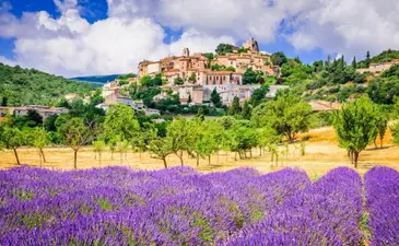 Book tickets across France from just €29