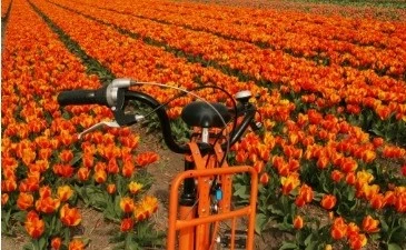 Rutas ciclistas en los Países Bajos