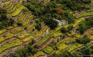 Descubra los viajes en tren más pintorescos de Italia