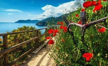 Visite Cinque Terre en tren