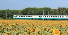 Italian Intercity trains